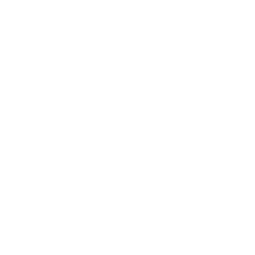 Denis Optique